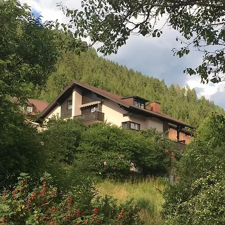 Haus Agnes, Murau Exterior photo