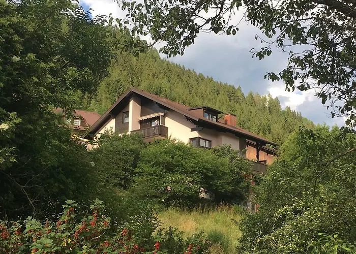 Haus Agnes, Murau
