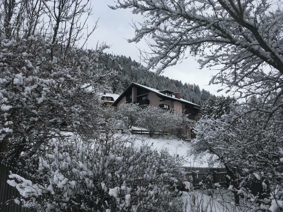 Haus Agnes, Murau