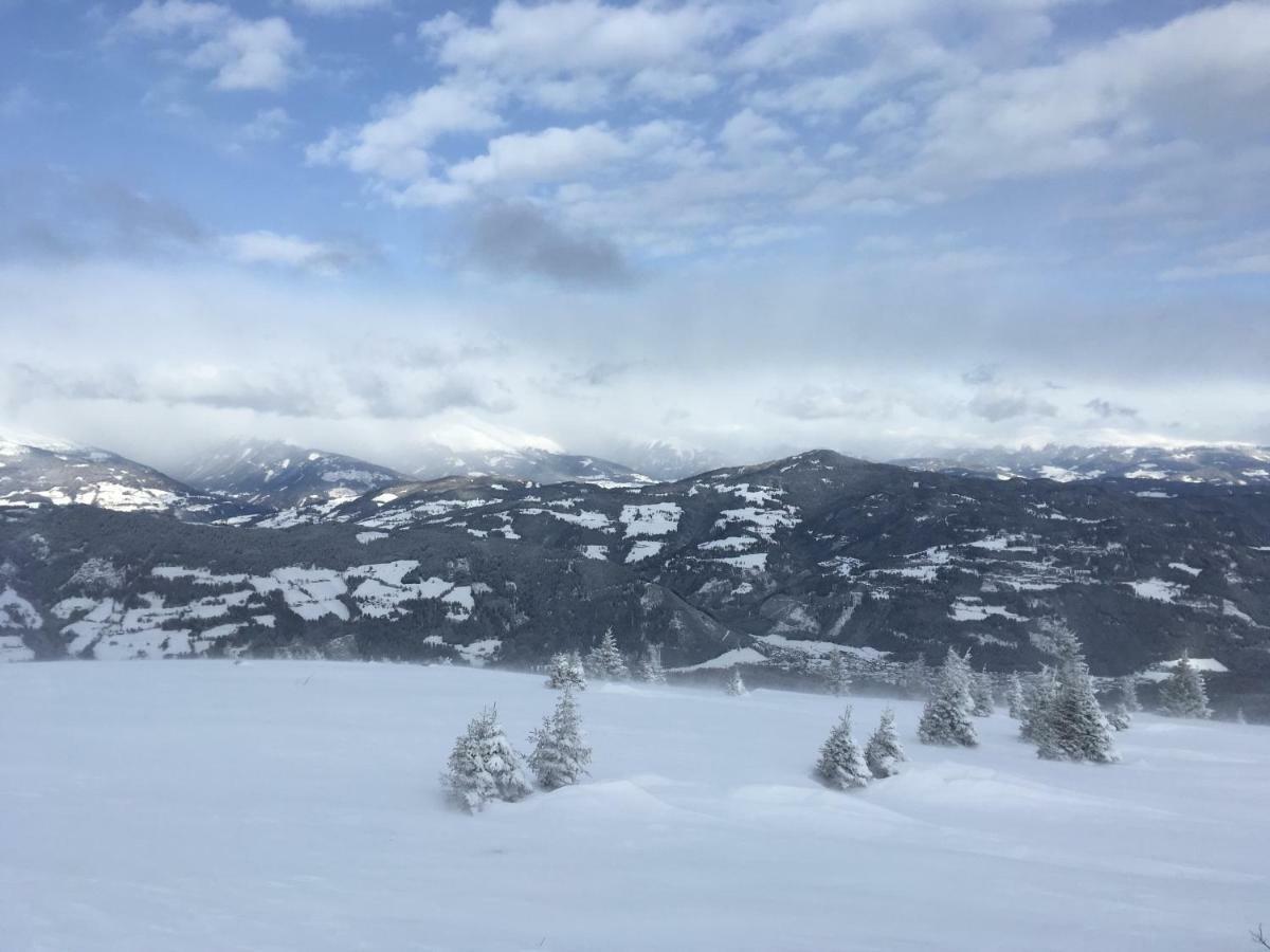 Apartment Haus Agnes, Murau