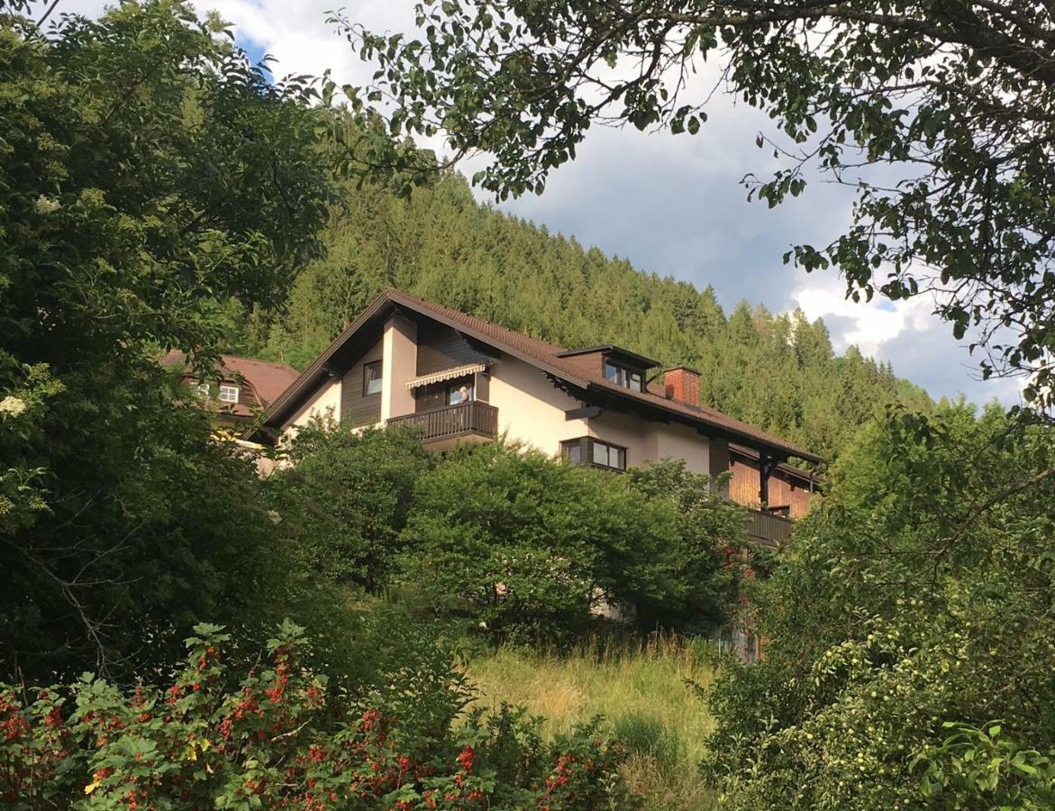 Apartment Haus Agnes, *